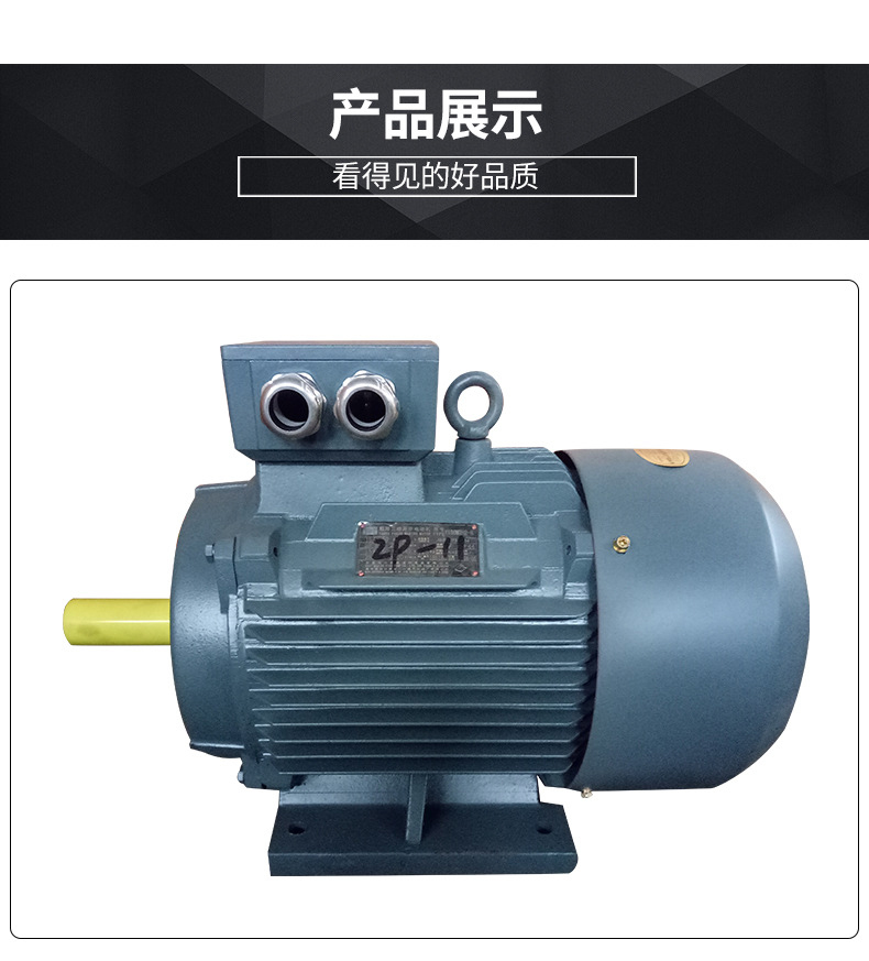 船用电机 船用电机