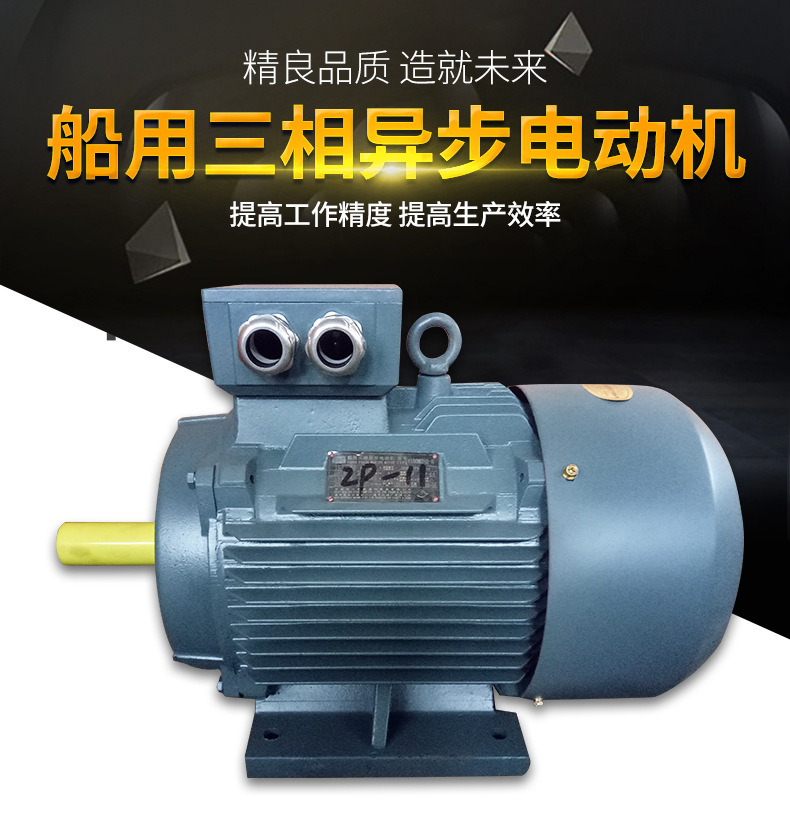 船用电机 船用电机